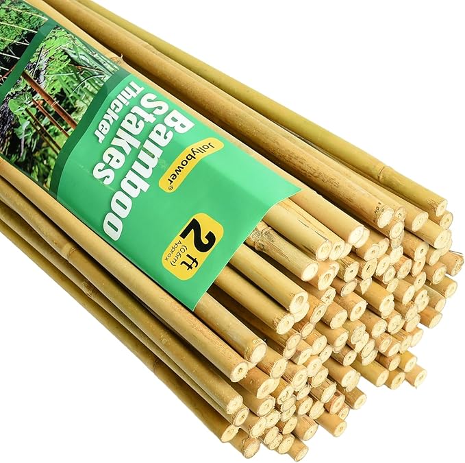 3/10" D 2 Feet Bamboo Stakes 50 Pack, Thicker Heavy-Duty Plant Stakes, Natural Garden Stakes for Bean, Tomato, Bean, Flowers,Trees Potted and Climbing Plant Support