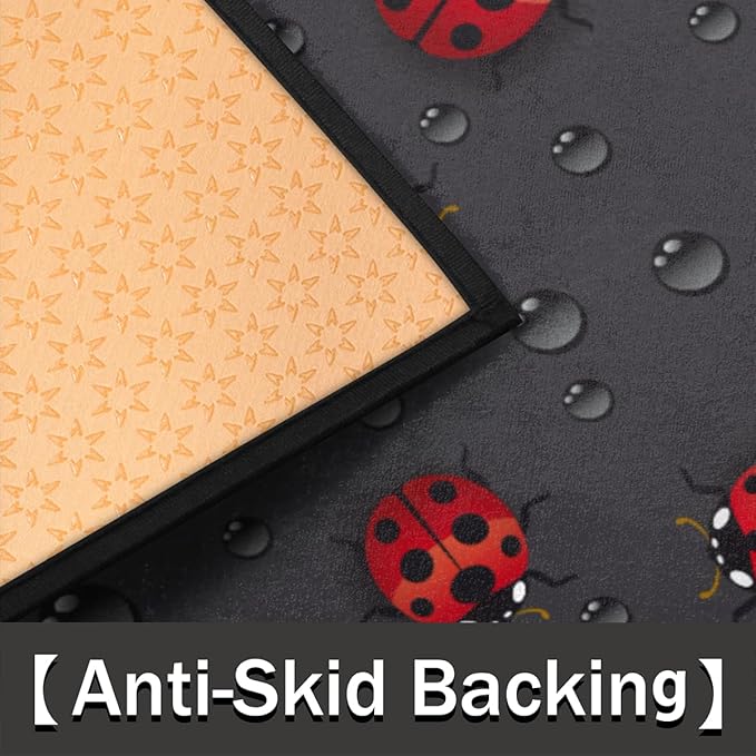 cfpolar Ladybug Half Round Door Mat - Rainy Day Cute Ladybird Black Semicircle, Non-Slip Soft Area Rug for Indoor Entrance, Wear-Resistant Welcome Mat for Garage, Patio, Home Decor - 24 x 36 in