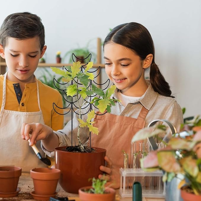 Indoor Plant Trellis 2 Pack Small Metal Climbing Plants Support for Outdoor Garden Potted Flowers Houseplant Ivy Vines Hoya