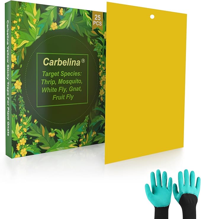 Gnat Sticky Traps for Plants, Plant Bug Sticky Traps Indoor/Outdoor, with Gardening Gloves for Women, 25PCS, Non-Toxic, Odorless, Harmless to Vegetables, Fruits, Plants