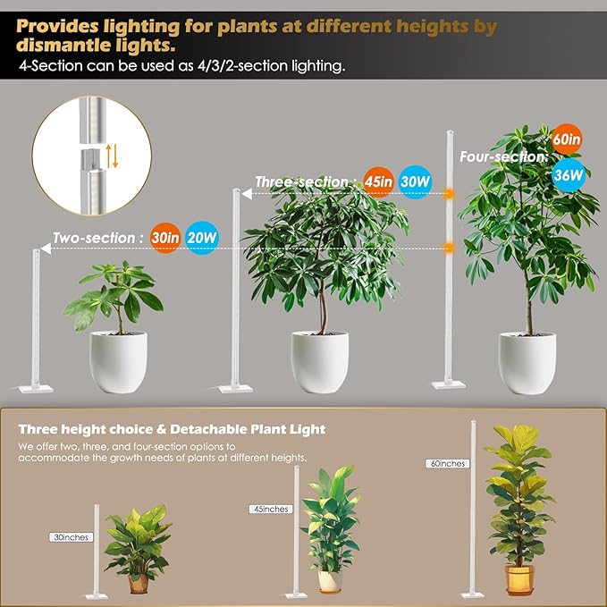 Standing Grow Light with Auto-Timer, 36W Vertical Grow Lights for Indoor Plants,3 Light Modes,268 LEDs Detachable Full Spectrum Plant Lights for Wide Area Coverage in Indoor Plants (60IN-Silver)