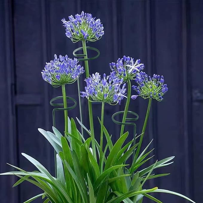 24 Inch 20 Packs Plant Support Stakes, Garden Single stemmed Plant Support Hoops Plant Prop for Flowers Orchid Tomatoes Peony Lily Rose Gladiolus (24 inch)