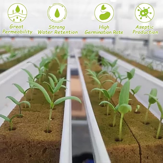 Legigo 1.2 Inch Rockwool Cubes Seed Starter Plugs for Hydroponics, RockWool Planting Grow Cubes for Hydroponic Tower Garden Soilless Cultivation Plants Germination Cutting Clone (2 Sheet, 72 Plugs)