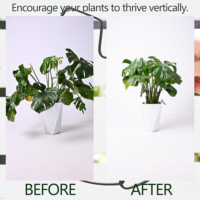 5PCS Black Monstera Plant Stem Support 9x7.6in - Adjustable & Durable Indoor Plant Stake for Cactus and Climbing Plants - Ideal Leaf Support for Gardening & Home Decor