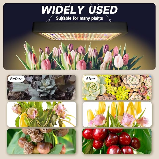 BW2000 LED Grow Light Full Spectrum,2024 Upgraded Dual Chip LED Full Spectrum Plant,Grow Light with Veg & Bloom Switch for Hydroponic Indoor Plants Veg and Flower Growing