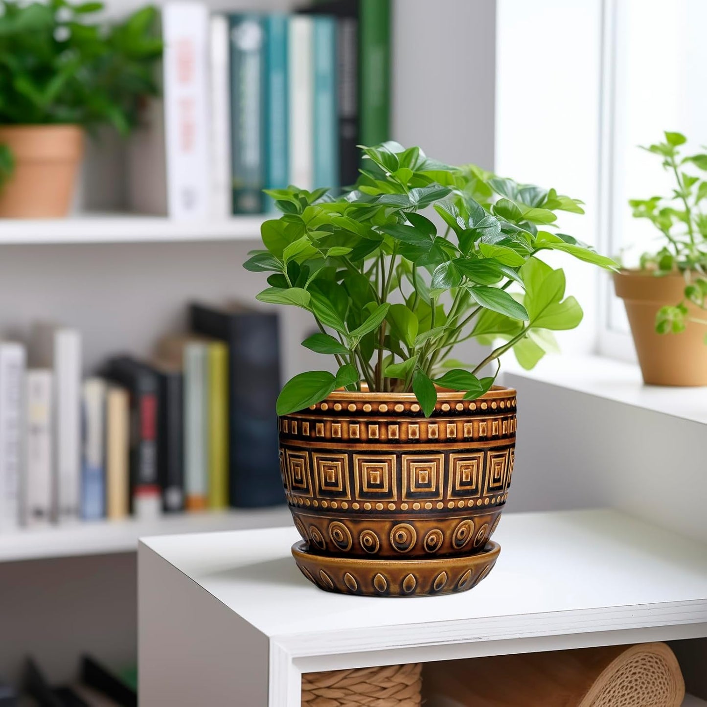 G EPGardening Succulent Pot 5.5 Inch - Ceramic Plant Pot for Indoor Plants Outdoor, Round Boho Planter with Drainage Hole and Saucer, Gifts for Plant Lovers, Office Home Garden Decor, Brown