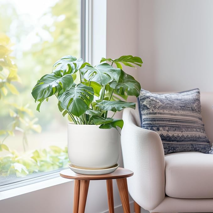 Ceramic Plant Pot - Modern 8 Inch Round Planter for Indoor Outdoor Plants with Drainage Hole and Saucer, Home House Room Office Decor, White