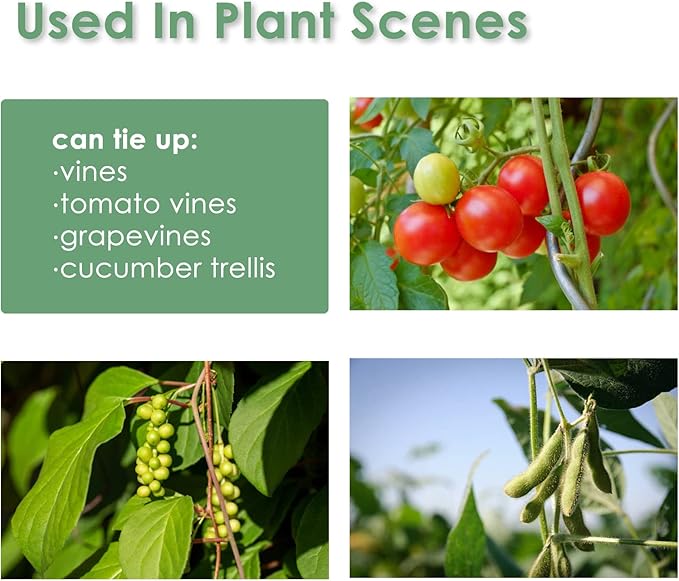 Garden Tie Green Strap Plant Supports Gentle on Plants Pre-Cut Design Tearable Reusable Sturdy Multi-Purpose for Home Garden Balcony Office (32.8ft × 0.6 inch, Green, 3 Packs)