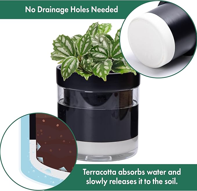 Phoenix Vine 6 Inch Self Watering Terracotta Planter, Black Terracotta Clay Pot with Glass Reservoir for Indoor Plants, Herbs, Flowers, Set of 1, 52-C-F-1