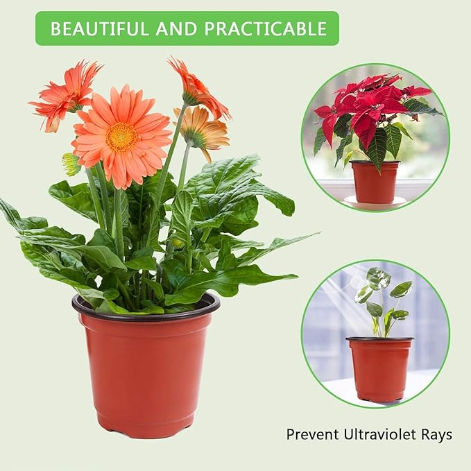 Augshy Plant Pots,40 Pcs 4" Plastic Plant Nursery Seed Starting Pots Nursery Pots for Succulent Seedling Cutting Transplanting