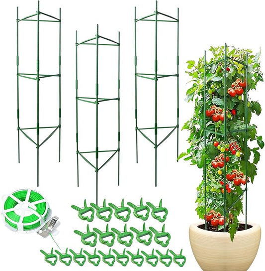 Tomato Cage, Tomato Plant Support Trellis for Garden & Pots, Rust-Resistant Tomato Cages for Climbing Vegetables Plants Flowers, 3 Pack - 48-Inch
