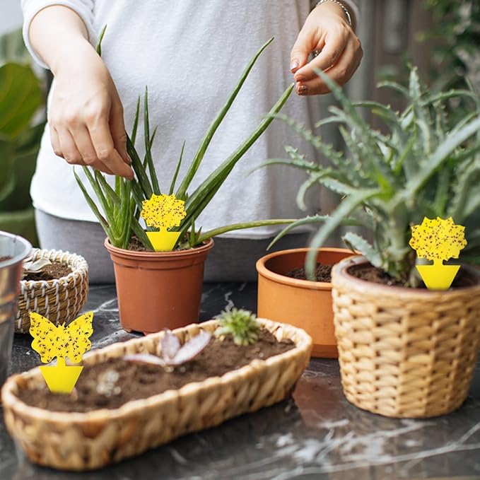 120 Pack Fruit Fly Trap for Indoors, Fungus Gnat Killer Indoor Sticky Traps for Mosquito and Flying Insects, Bug Pest Insect Catcher Killer for Houseplant Non-Toxic