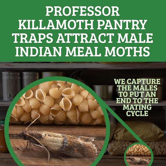 Pantry Moth Traps 6-Pack | Child and Pet Safe Pantry Protection | No Insecticides | Premium Attractant