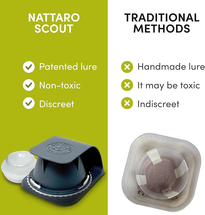 Scout Non-Toxic Early Monitoring Solution with Patented Pheromone Technology, Includes 2 Bed Bug Detection Traps, Replaceable Lures and User Guide