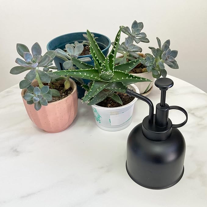 Plant Mister Spray Bottle Stainless Steel Plant Sprayer, Small Watering can Plant Spray Bottle Modern Gardening Tools for Indoor Potted Plants Watering and Spraying