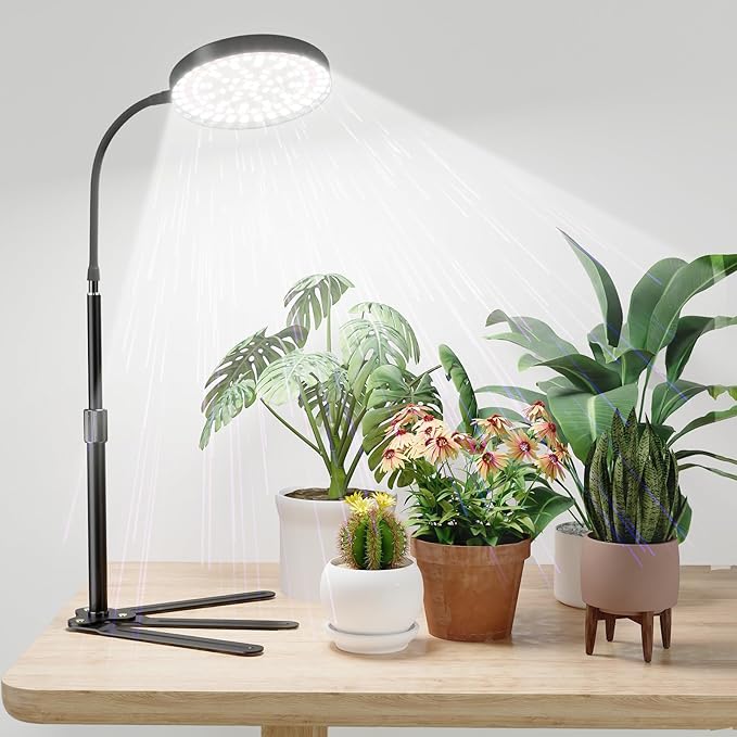 Super-Bright Grow Light 100W, 6000K 216LEDs White Full Spectrum Plant Growing Lamp for Home Office Indoor Plants,Adjustable Height & Auto Timer 4 8 12Hrs, 12V 3A High Power Output for Faster Growth