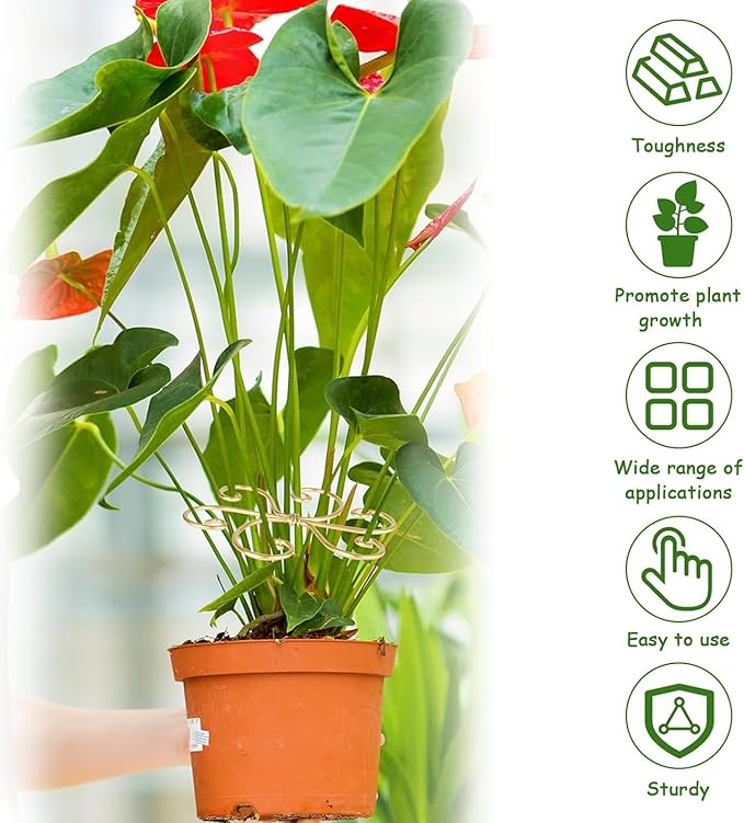 5 Pcs Plant Stem Support, Iron Monstera Plant Support, Durable Hook Stem Supports for Healthy Growth, Bamboo Clamp Set for Leaf Stabilization and Support, Ideal Present for Plant Lovers