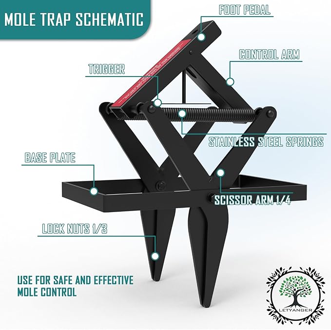 Mole Traps, Black Galvanized Steel Scissor Trap, Reusable Gopher Traps, Mole Killer, Ground Moles Trap for Lawns, 2025 Style (2 Pack)