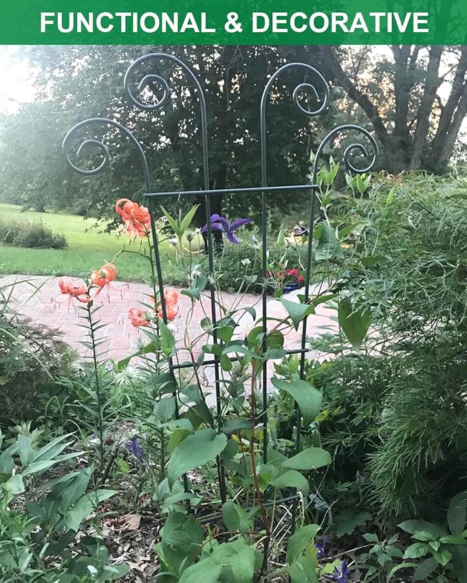 4 Pack 23'' Plant Trellis for Potted Climbing Plants Indoor, Outdoor Metal Garden Trellis for Climbing Plants Houseplants Flowers Vine Ivy, Fan Shape, Black