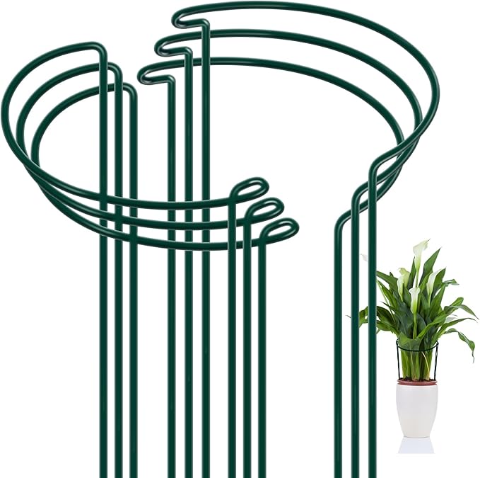 FEED GARDEN 6 Pack Plant Support Stakes, Metal Garden Plant Stake(10" Wide x 16" High) Green Half Round Plant Support Rings for Potted Plants, Plant Cage for Tomato, Hydrangea