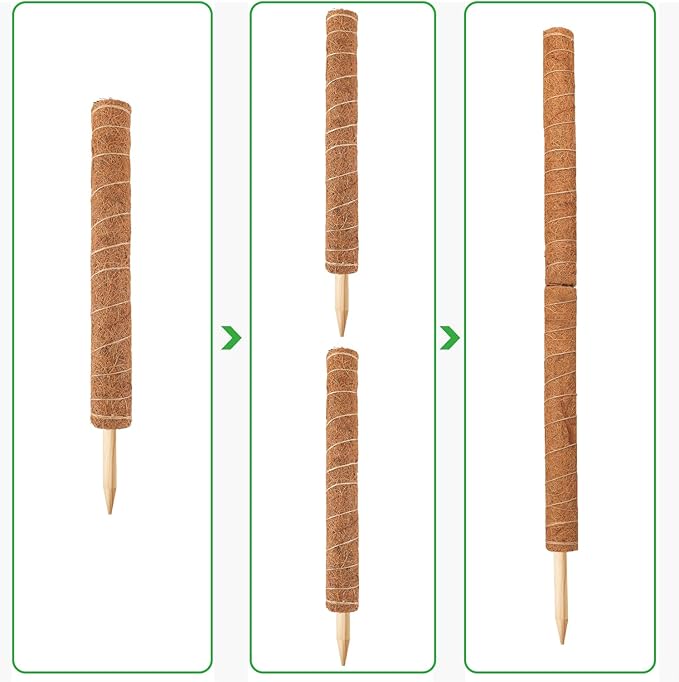 Augshy 34 Inch Moss Pole, 2 Pack 19.5 Inch Moss Poles for Climbing Plants Monstera, Moss Sticks for Indoor Plant Support Plant Stakes for Indoor Climbing Plants Grow Upwards with Garden Ties