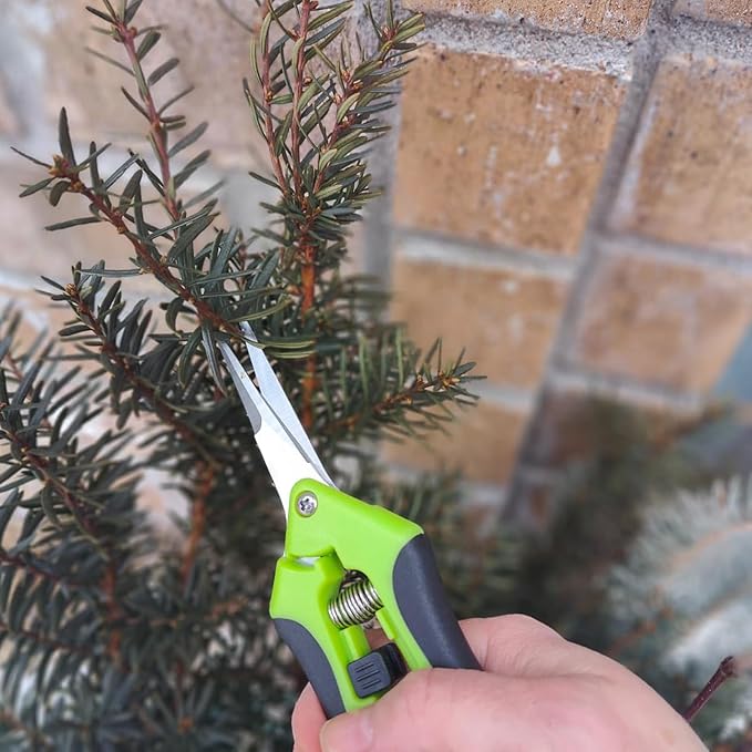 15 PCS 6.5 inch Garden Pruning Shears, Gardening Hand Pruners with Straight Stainless Steel Precision Blades, Pruning Shears Bud Trimming Scissors for Flowers Branches Precise Cuts