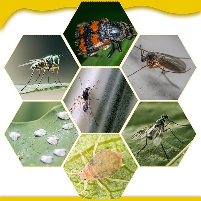 220 Pcs 7.9 x 4 Inch Sticky Traps for Plant Gnats Double Sided Sticky Traps with Twist Ties for Flying Killer Insect Indoor Outdoor Fungus Gnats, Whiteflies, Aphids (Yellow)