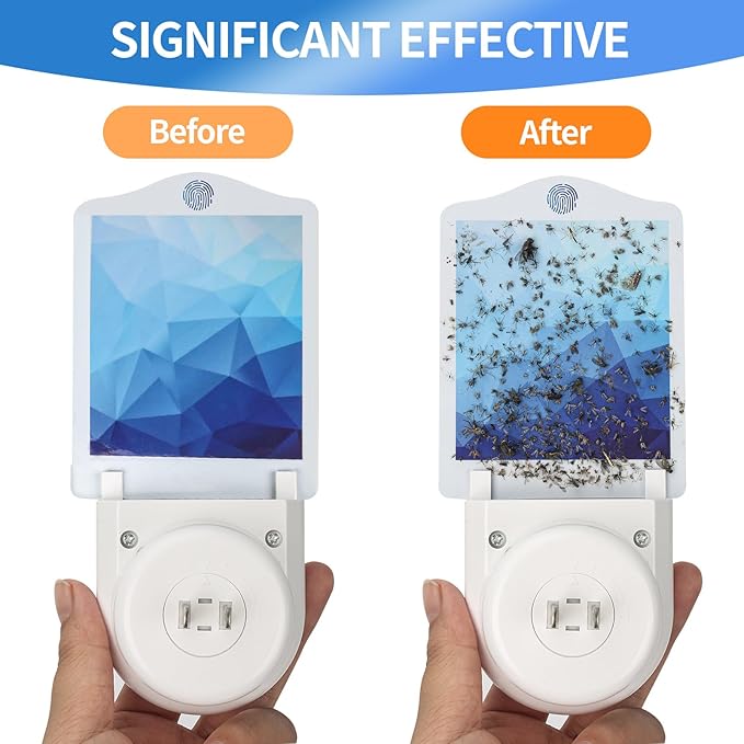 Flying Insect Trap Refills - 6 Pack Indoor Fly Trap Glue Cards NO Device - Indoor Plug-in Fly Trap Refills Universal (6 Blue Refills)