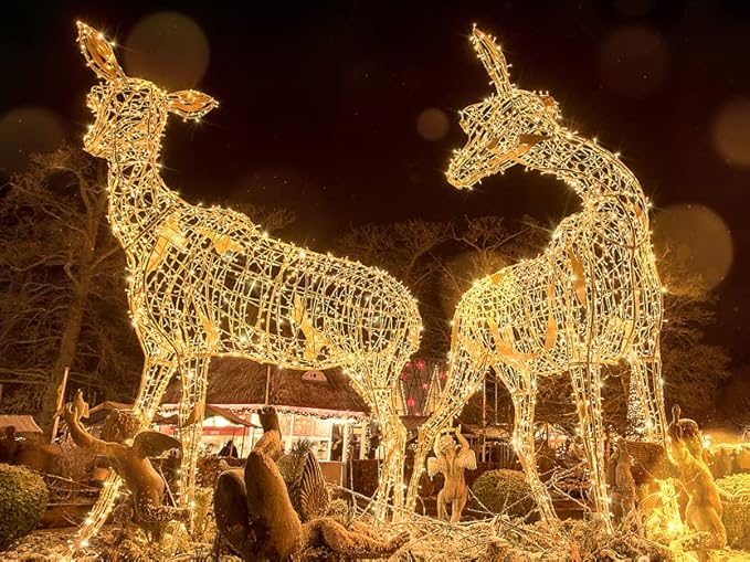 suddus 200 Led Connectable Christmas Lights Outdoor Waterproof, 66ft Fairy Lights Plug in with Remote, Warm White Christmas Tree Light Indoor for Xmas Holiday, Party, Porch, Patio, Garden Decor