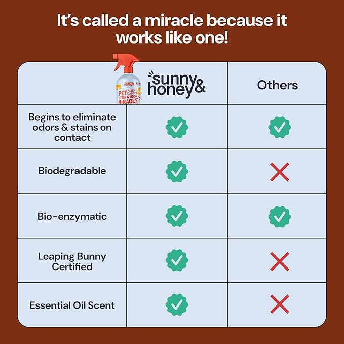 Sunny & Honey Pet Stain Remover & Enzyme Cleaner - 32 Fl Oz, Fall Spice - Carpet Deodorizer & Urine Odor Eliminator for Dog Pee, Cat Urine, Upholstery & Furniture