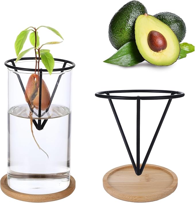 Avocados Vase Avocado Seed Starter Vase, Avocado Trees Live Plants Growing Kit Aguacate Seed Sprouting Kit with Metal Triangle Bracket and Bamboo Base, Glass Sprout Growing Kit for Avocados