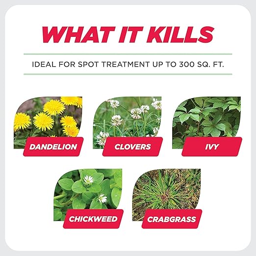 Earth's Ally Weed and Grass Killer Spray | Ready-to-Use | Natural Non-Selective Herbicide | Environmentally Safe Weed Killer | Pet Safe | Bee Safe (32 fl. oz. Ready-to-Use)