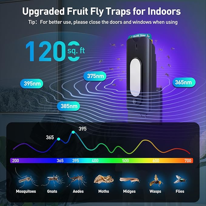 Fruit Fly Trap for Indoors with 10 Refills, 2 in 1 Fly Trap Indoor with Night Light for Home, Gnat Traps for House Indoor, Plug-in Insect Trap for Gnats, Flies, Moths, and Other Bugs-Black