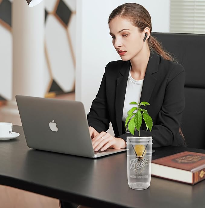 Plus tard 4Pcs Avocado Seed Starter Rack for Mason Jar of Wide-Mouth, Avocado Seed Holder Triangular Metal Bracket for Family Friends and Gardening Enthusiasts