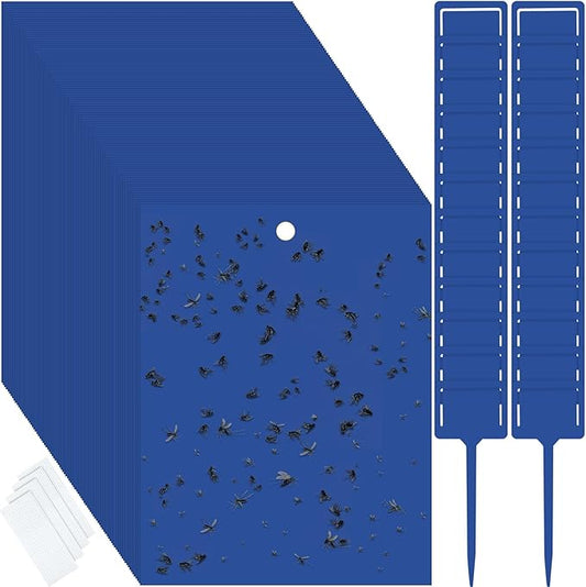 Qualirey 100 Pcs 6 x 8 Inch Sticky Traps for Gnats Dual Sided Fruit Fly Sticky Traps for Indoor and Outdoor Plant with Twist Ties and Plastic Holders for Flying Plant Insect, Fungus Gnats (Blue)