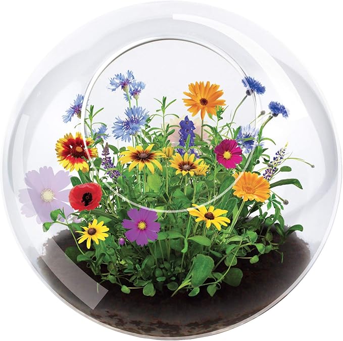 Blossom Your Own Wild Flower Glass Terrariums by Unique Gardener, Terrarium Starter Kit with Complete Supplies, Quick Blooms, Easy Care Ideal for Indoor Plant Home or Office!