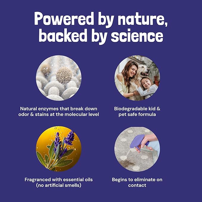 Sunny & Honey Pet Stain & Odor Miracle - 1 Gallon (128 Fl Oz), Light Lavender Scent - Carpet Cleaner - Enzyme Cleaner for Dog Urine & Cat Pee - Pet Stain Remover - Dog & Cat Urine Odor Eliminator