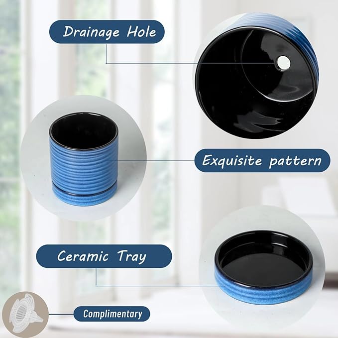 Hasense Small Plant Pots, 4.6 Inch Porcelain Planters with Drainage Holes and Tary, Mini Pots for Flower, Succulents, Cactus, Herbs, Modern Blue Decorative for Home Kitchen Office, Set of 4