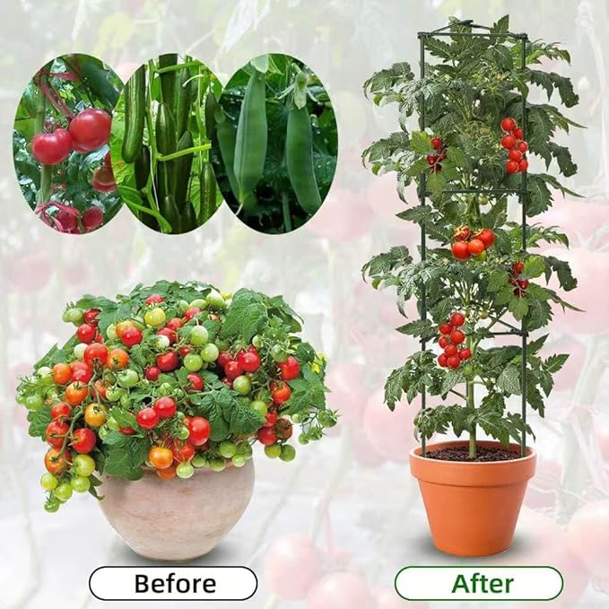 3 Package up to 48in Tomato cage Garden Grid Plant Support Posts with Adjustable Tomato cage Vegetable Grid (3pack)