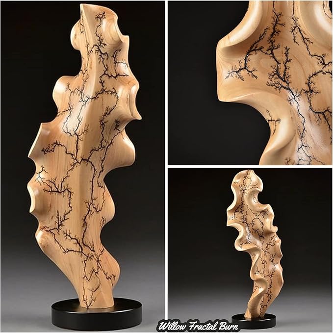 Lichtenberg Machine 10kV 30mA Neon Sign Transformer Fractal Wood Burning Machine Burner Device Neon Power Supply for Real Glass Neon Not Led High Voltage 10000V