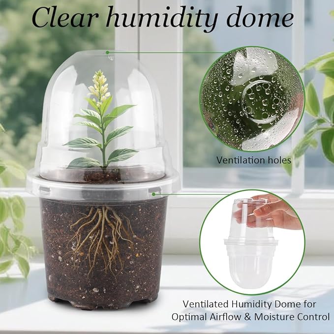 Transparent Nursery Pots 4Inch with Humidity Domes for Seeds Starting, Clear Plastic Plant Pots with Drainage Holes (4Inch, 30Pcs,Clear Pots with Lids)