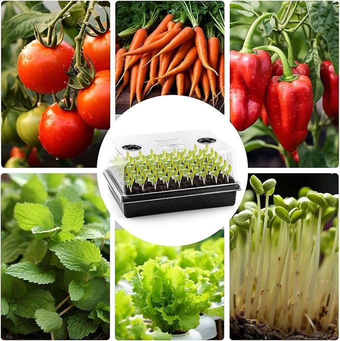 Seed Starter Tray with Grow Lights – 4 Pack Seedling Trays with 5" Humidity Domes & 4 LED Light Heads, Adjustable Timer, Full Spectrum for Indoor Germination, Herbs, Vegetables, Flowers