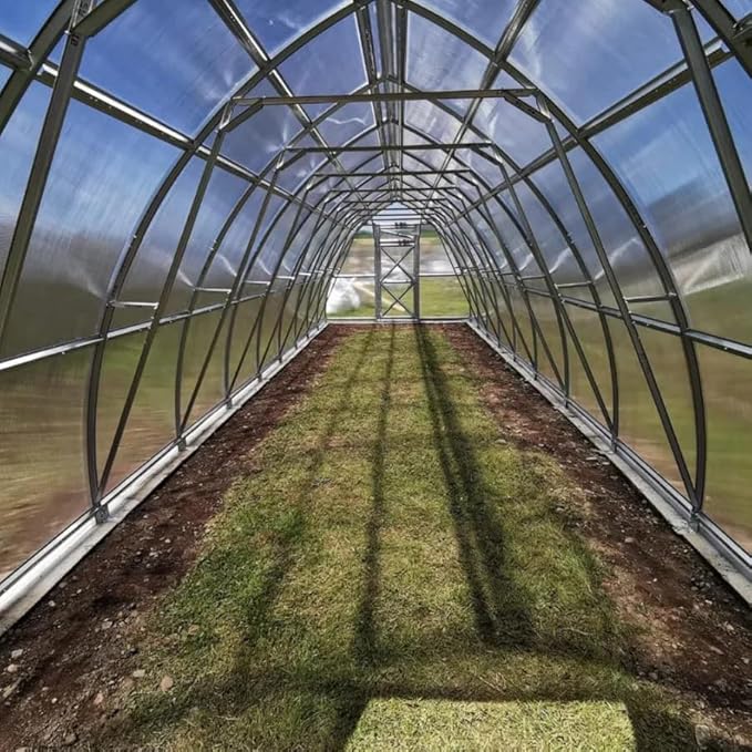 Classic Arch Polycarbonate Greenhouse Kit – 0.23" Twin-Wall Panels, Heavy-Duty Galvanized Steel Frame, Weather-Resistant, Expandable Outdoor Garden House for All Seasons (Clear, 3 x 6 m (18 m2))