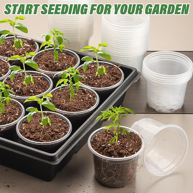 Clear Seedling pots 100-Pack 3.2 Inches Round for Seeds Starter Pots, Seeds Germination Transparent Clean Pots with Drainage Holes(100 Pcs, 3.14Inch)