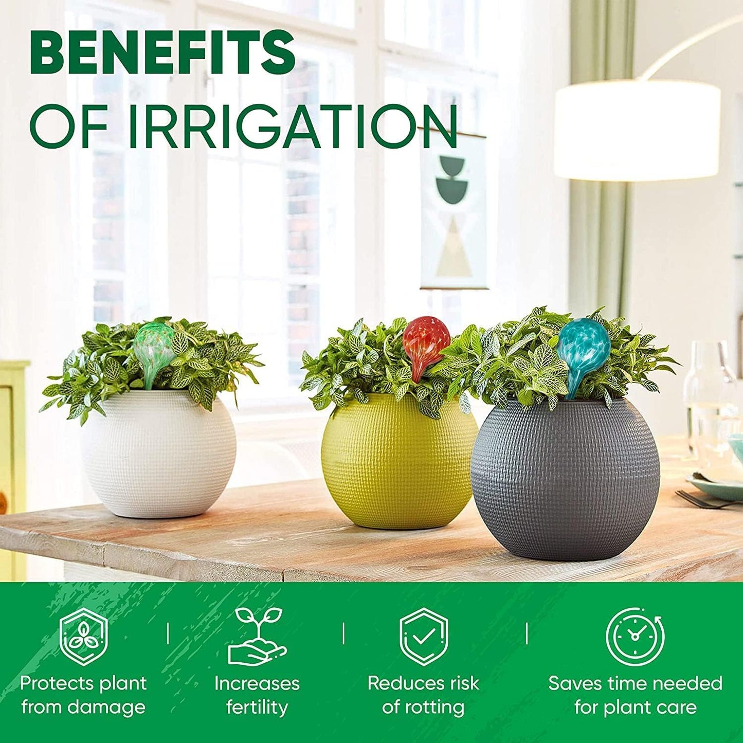 Plant Watering Globes Set of 8 - Large Self Watering Globes for Indoor & Outdoor Plants - Multicolored, Automatic, Glass Watering Bulbs for Daily Use, Plant Watering Devices