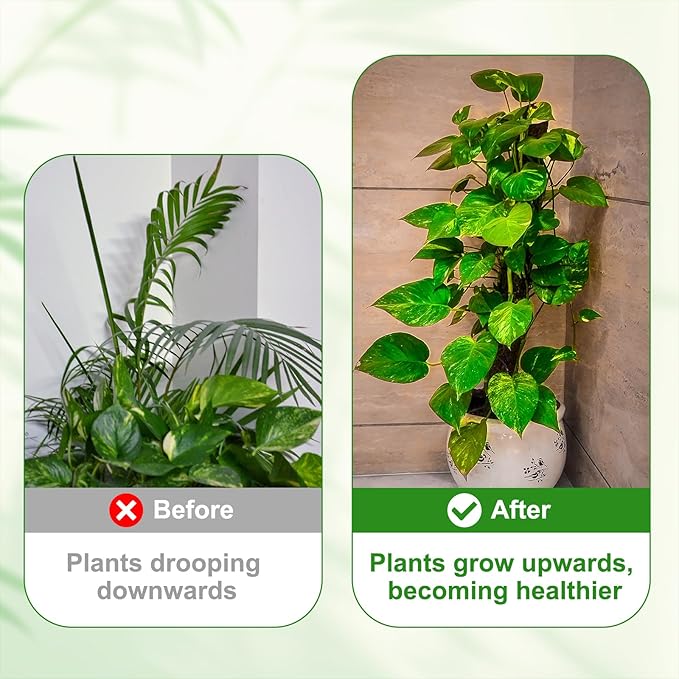 uxcell Plant Support Stakes Set, 6 Pcs Twig Plant Stem Support Structures 43.3" Plants Branches Supports with Extension Poles, Orchid Clips, Plants Tie for House Potted Monstera, Brown