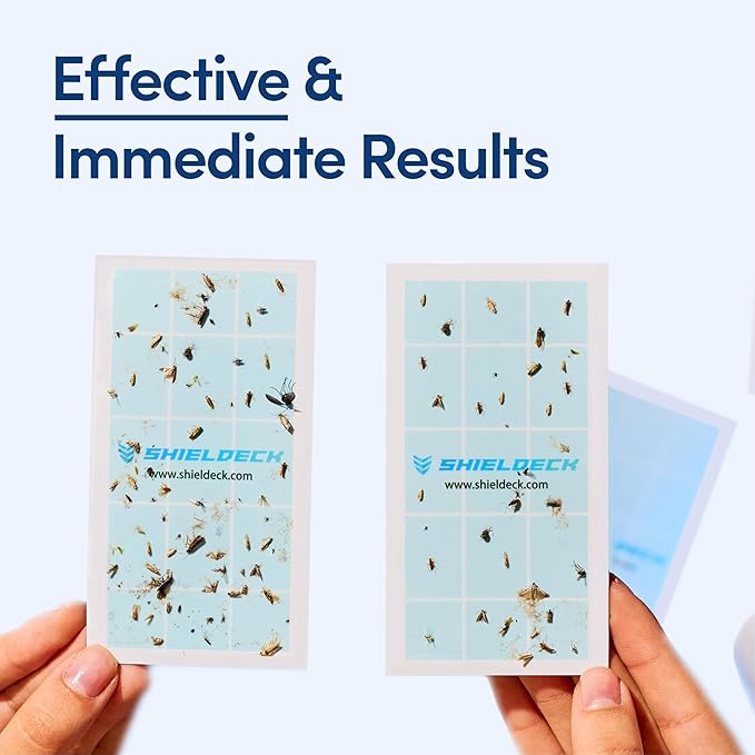 Flying Insect Trap for Home - Indoor Fly, Gnat, and Mosquito Killer with UV Light - Non-Toxic Fruit Fly Traps for Indoors - Easy Bug Catcher for Any Room - Includes 1 Device & 5 Sticky Pads