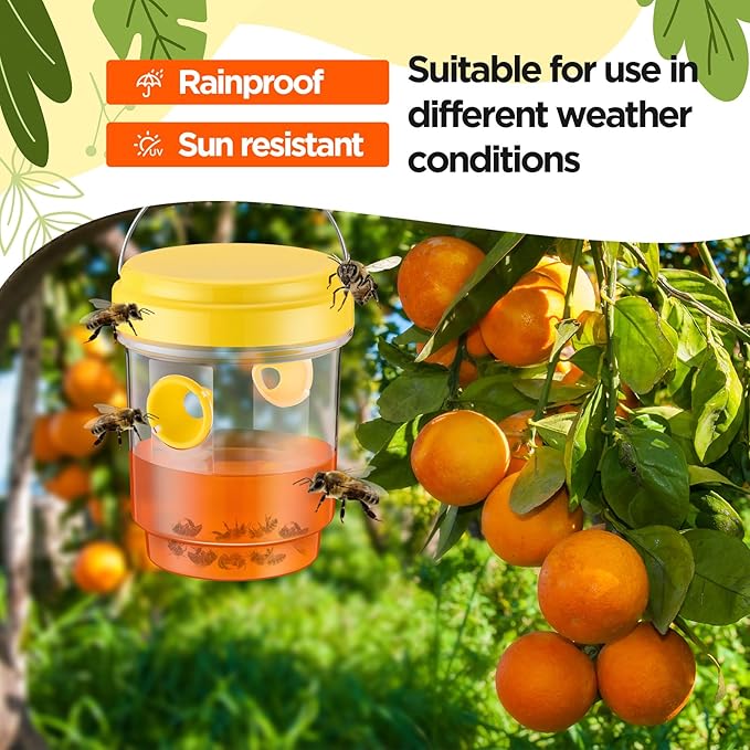 Qualirey 3 Pcs Wasp Traps for Outdoors Wasp Killer Hanging Bee Traps Reusable Fly Bee Killer for Indoor Outdoor Patio Garden Home (Yellow,Green,Orange)