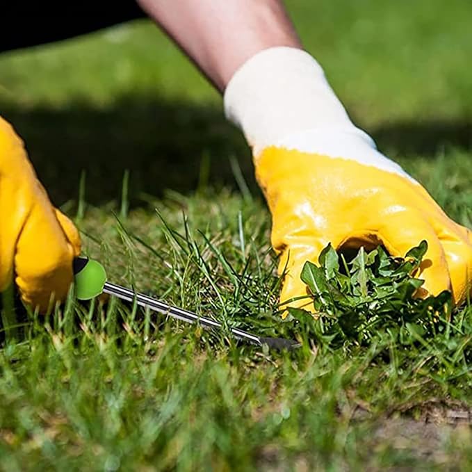 Maxmoral 12.99 Inch Garden Hand Weeding Tool with Ergonomic Handle Stainless Steel Farm Transplant Gardening Plant Loosening Root Starter