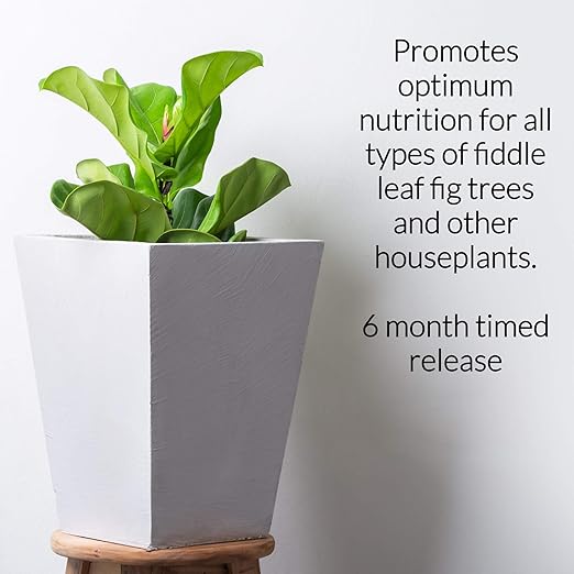 Fiddle Leaf Fig and House Plant Fertilizer Pellets |16-5-11 Slow Release Pellets for Seedlings and Mature Houseplants | Multi-Purpose Blend & Gardening Supplies| 5.2 oz Resealable Packaging